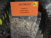 Coltsfoot